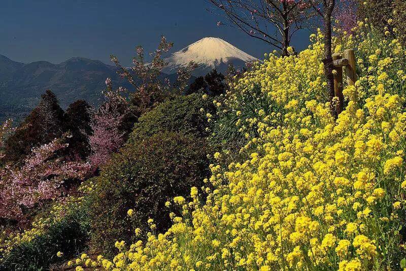 Hotel Hakone Pacific Exterior foto